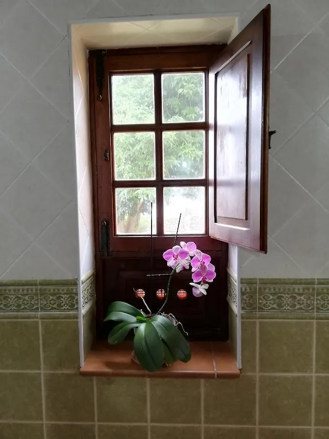 Villa Casa Pura, Pure Nature And Liberty Buenavista Del Norte 0*,  Spanien